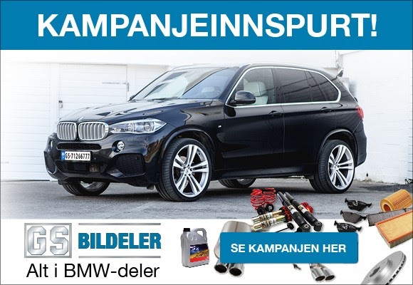 BMW Kampanje, GS Bildeler